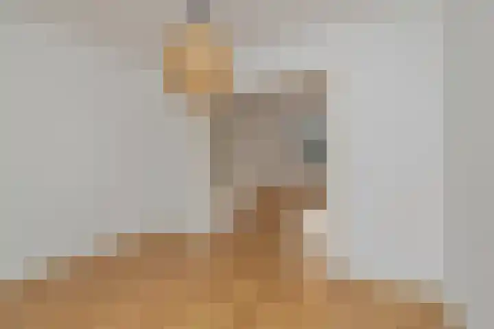 Hertog Hendrik van Brabantplein 14 Eindhoven thumbnail 17