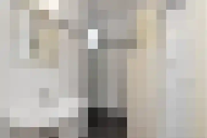Hertog Hendrik van Brabantplein 14 Eindhoven thumbnail 23