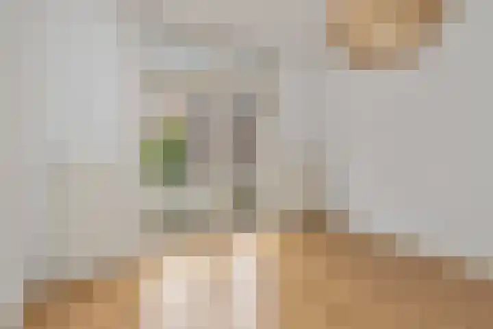 Hertog Hendrik van Brabantplein 14 Eindhoven thumbnail 5