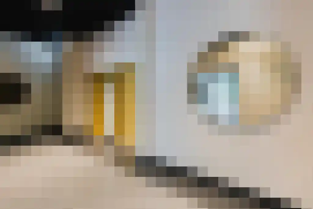 Hertog Hendrik van Brabantplein 16 A Eindhoven thumbnail 17