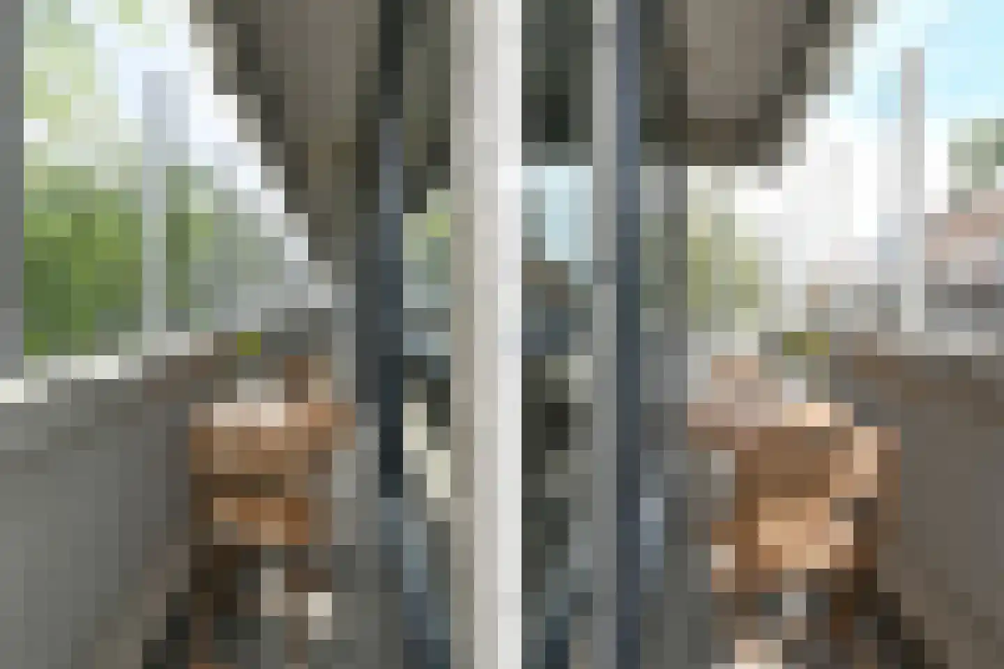 Hertog Hendrik van Brabantplein 16 Eindhoven thumbnail 17