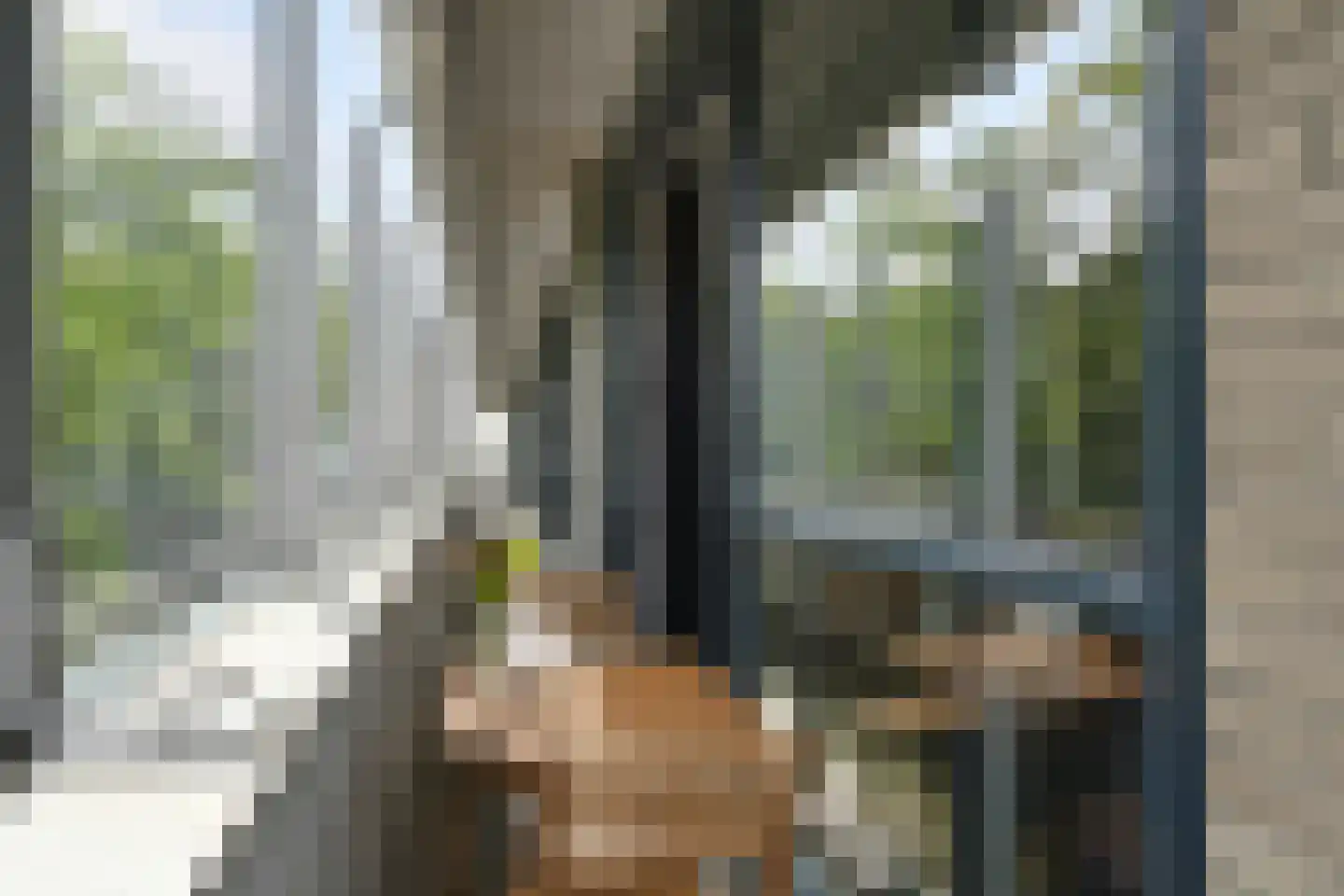 Hertog Hendrik van Brabantplein 16 Eindhoven thumbnail 18