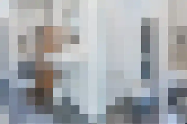 Hertog Hendrik van Brabantplein 16 F Eindhoven thumbnail 10