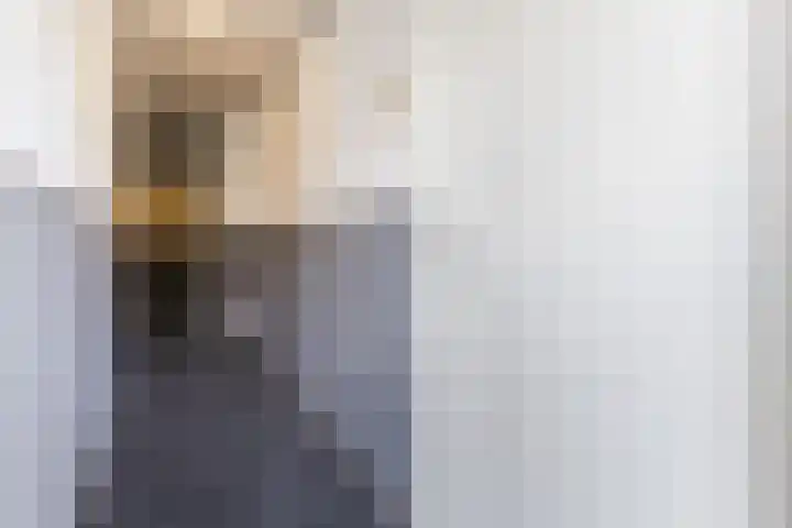 Hertog Hendrik van Brabantplein 16 F Eindhoven thumbnail 13