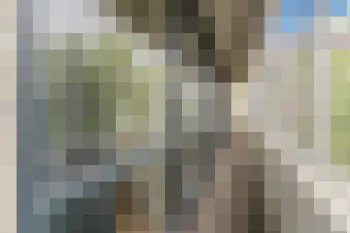 Hertog Hendrik van Brabantplein 17 R Eindhoven thumbnail 15