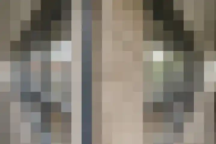 Hertog Hendrik van Brabantplein 17 R Eindhoven thumbnail 16