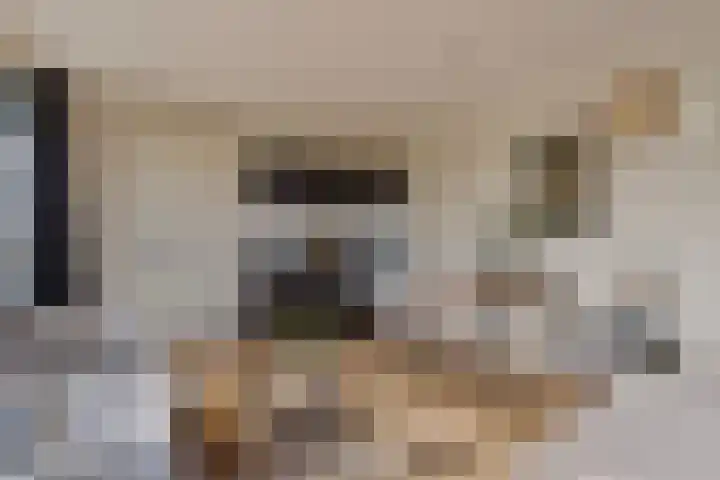 Hertog Hendrik van Brabantplein 17 R Eindhoven thumbnail 9