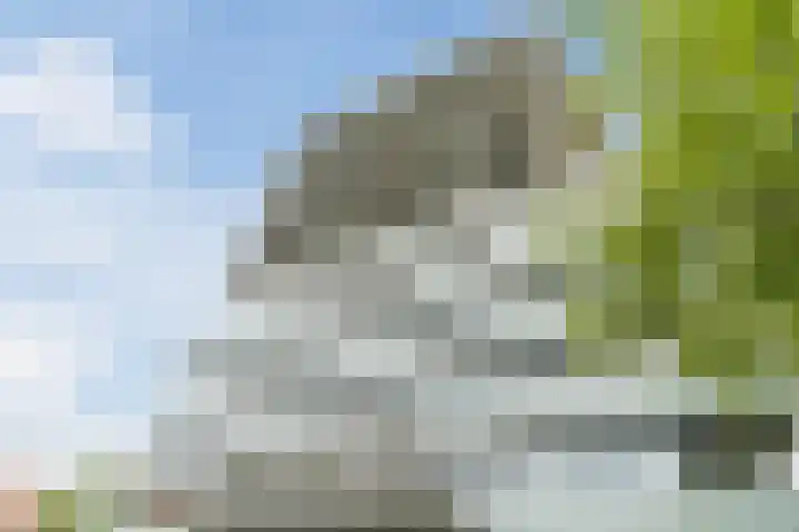 Hertog Hendrik van Brabantplein 17 W Eindhoven thumbnail 15