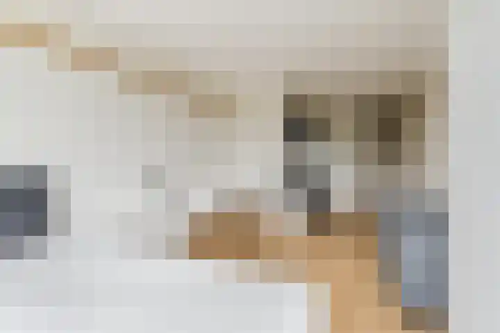 Hertog Hendrik van Brabantplein 17 W Eindhoven thumbnail 4
