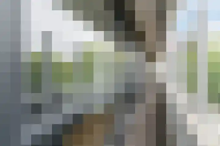 Hertog Hendrik van Brabantplein 17 W Eindhoven thumbnail 6