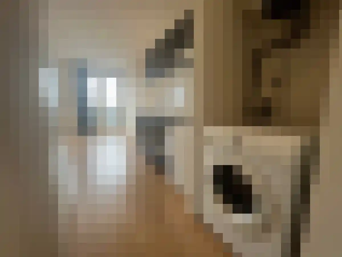 Hertog Hendrik van Brabantplein 18 Eindhoven thumbnail 5