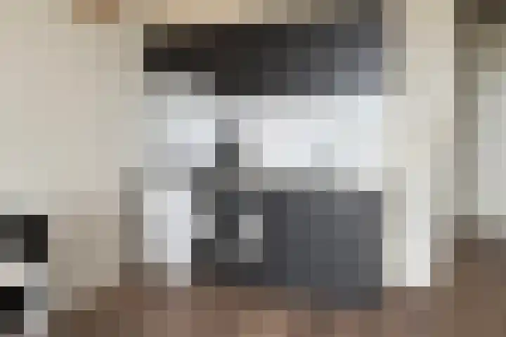 Hertog Hendrik van Brabantplein 19 C Eindhoven thumbnail 6