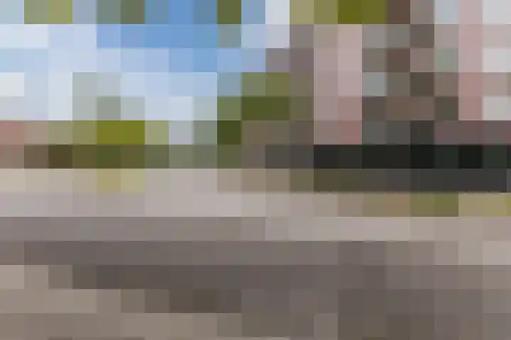 Hertog Hendrik van Brabantplein 20 R Eindhoven thumbnail 15