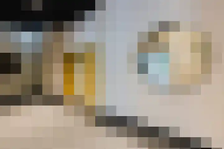 Hertog Hendrik van Brabantplein 20 R Eindhoven thumbnail 17