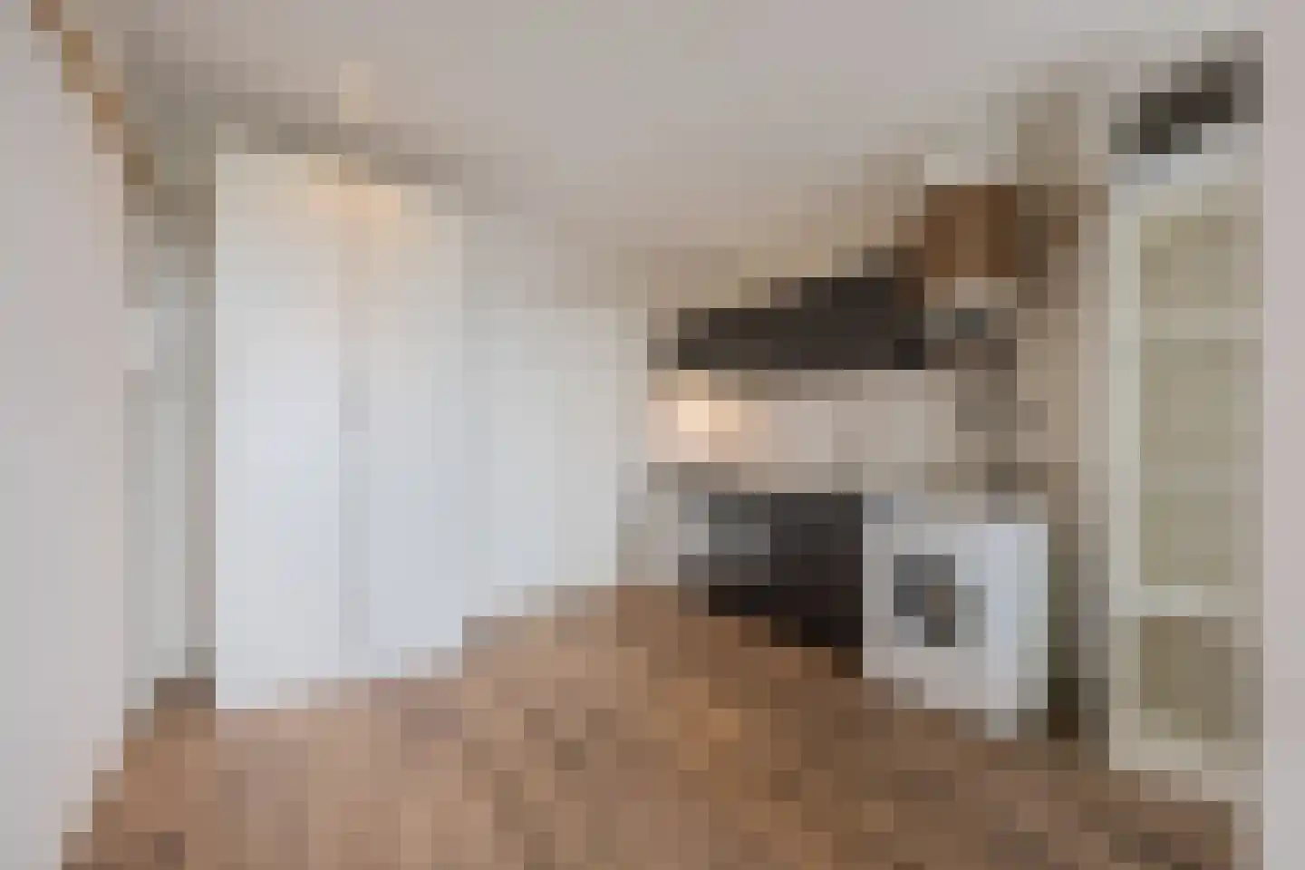 Hertog Hendrik van Brabantplein 20 T Eindhoven thumbnail 4