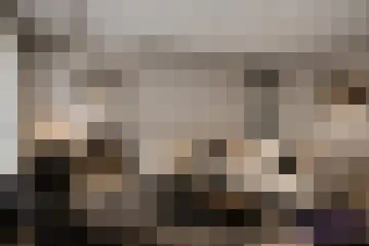 Hertog Hendrik van Brabantplein 22 Eindhoven thumbnail 14