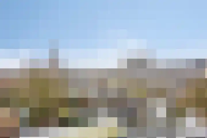 Hertog Hendrik van Brabantplein 22 Eindhoven thumbnail 26