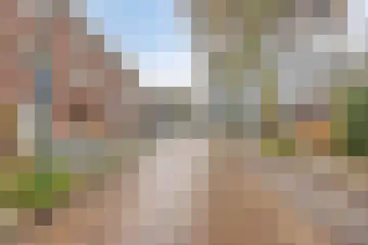 Hertog Hendrik van Brabantplein 22 Eindhoven thumbnail 5