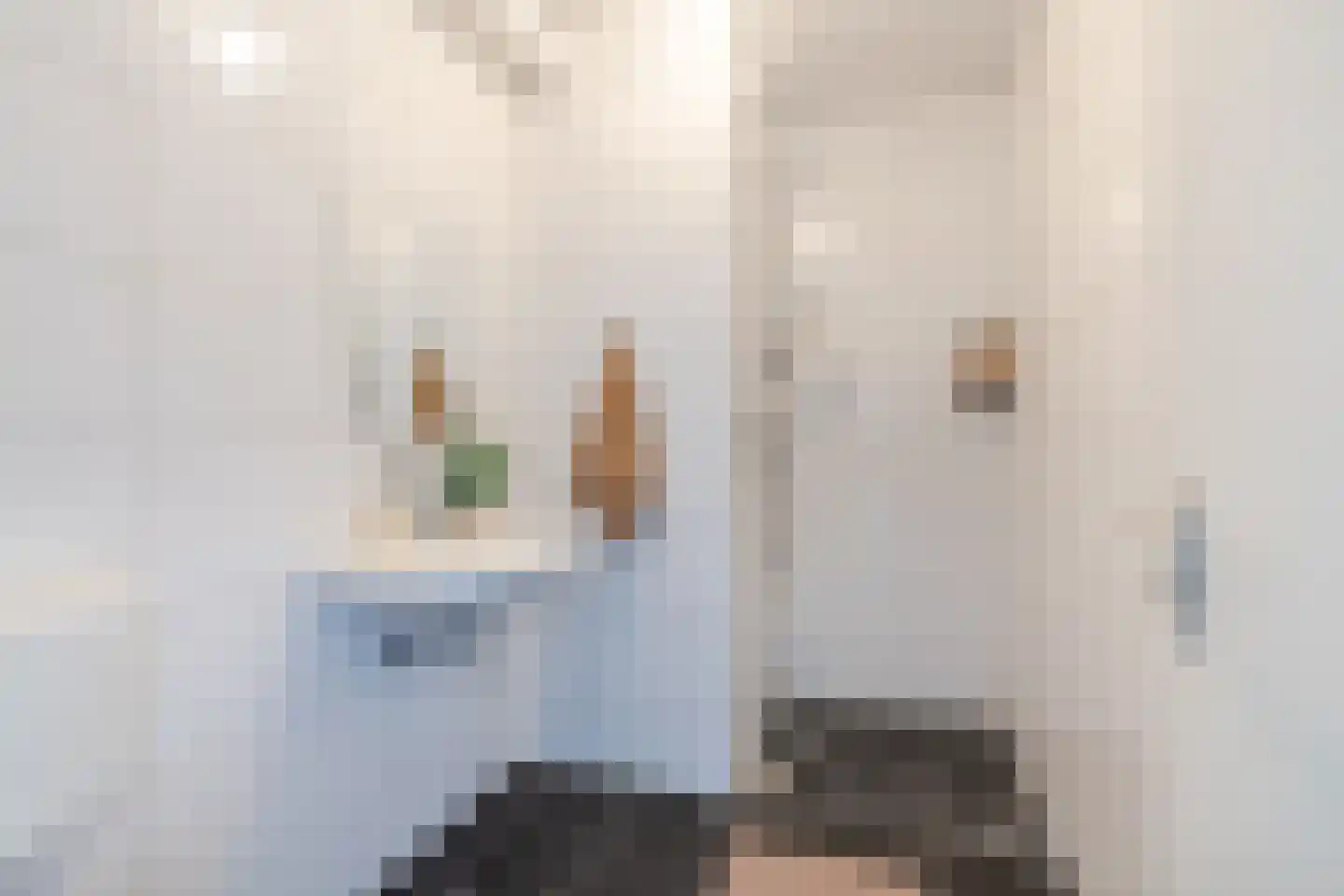 Hertog Hendrik van Brabantplein 26 Eindhoven thumbnail 32