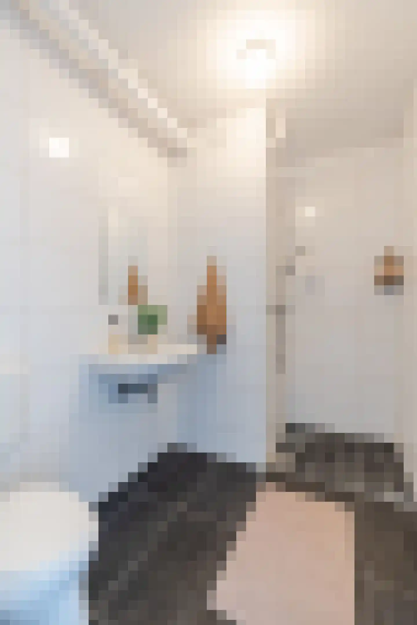 Hertog Hendrik van Brabantplein 26 Eindhoven thumbnail 35