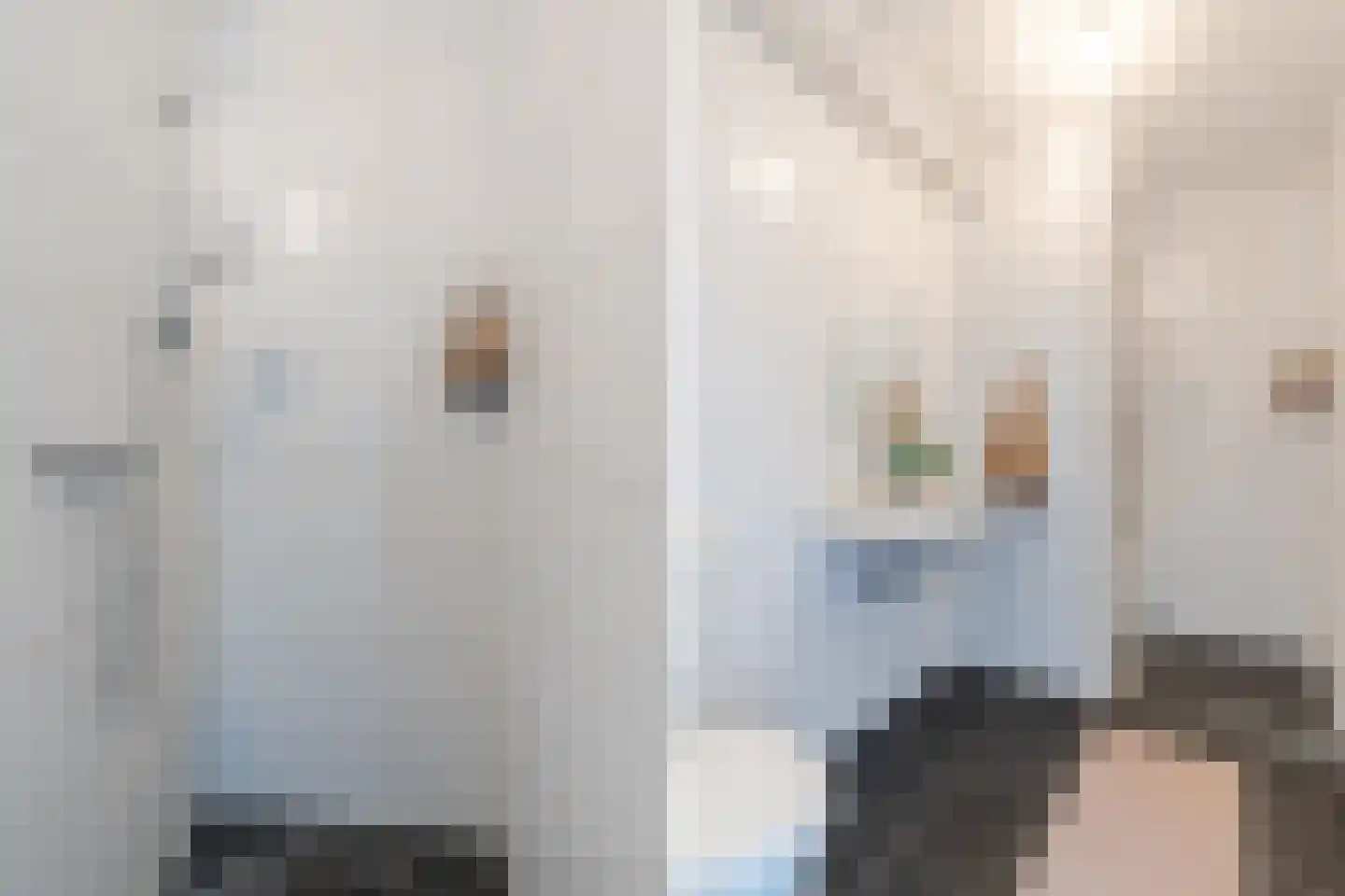 Hertog Hendrik van Brabantplein 26 Eindhoven thumbnail 36