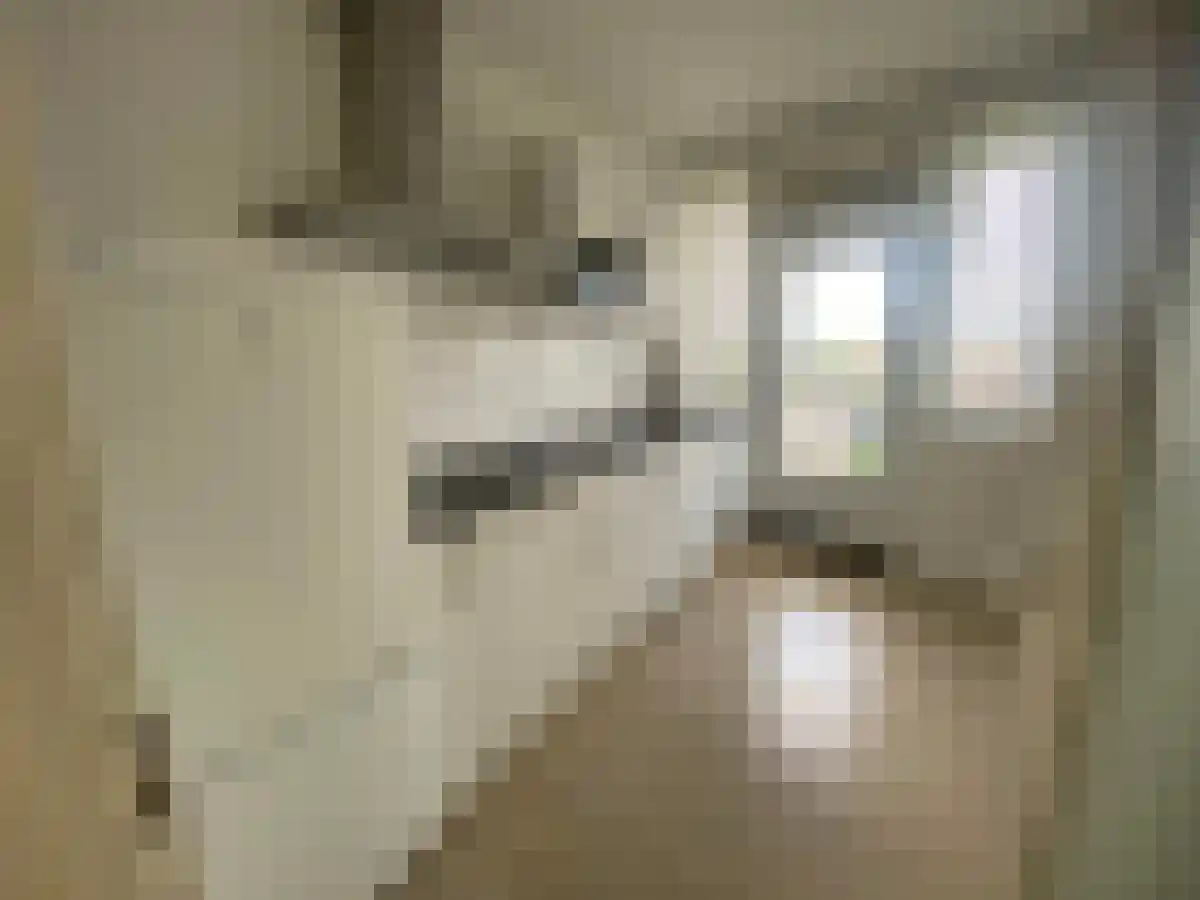 Hertog Hendrik van Brabantplein 40 Eindhoven thumbnail 4