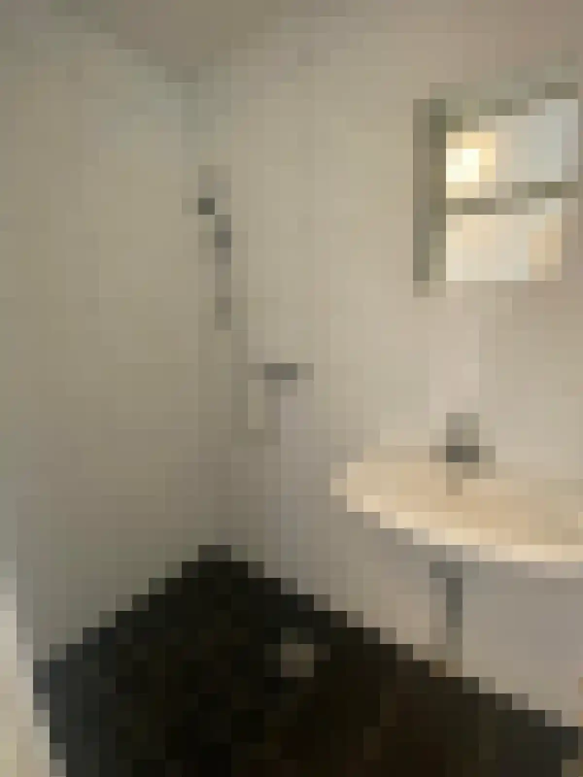 Hertog Hendrik van Brabantplein 40 Eindhoven thumbnail 6