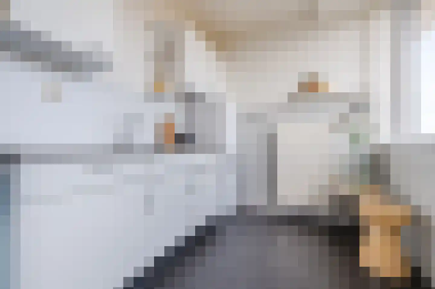 Hertog Hendrik van Brabantplein 59 Eindhoven thumbnail 12