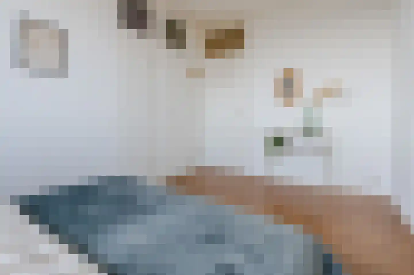 Hertog Hendrik van Brabantplein 59 Eindhoven thumbnail 17