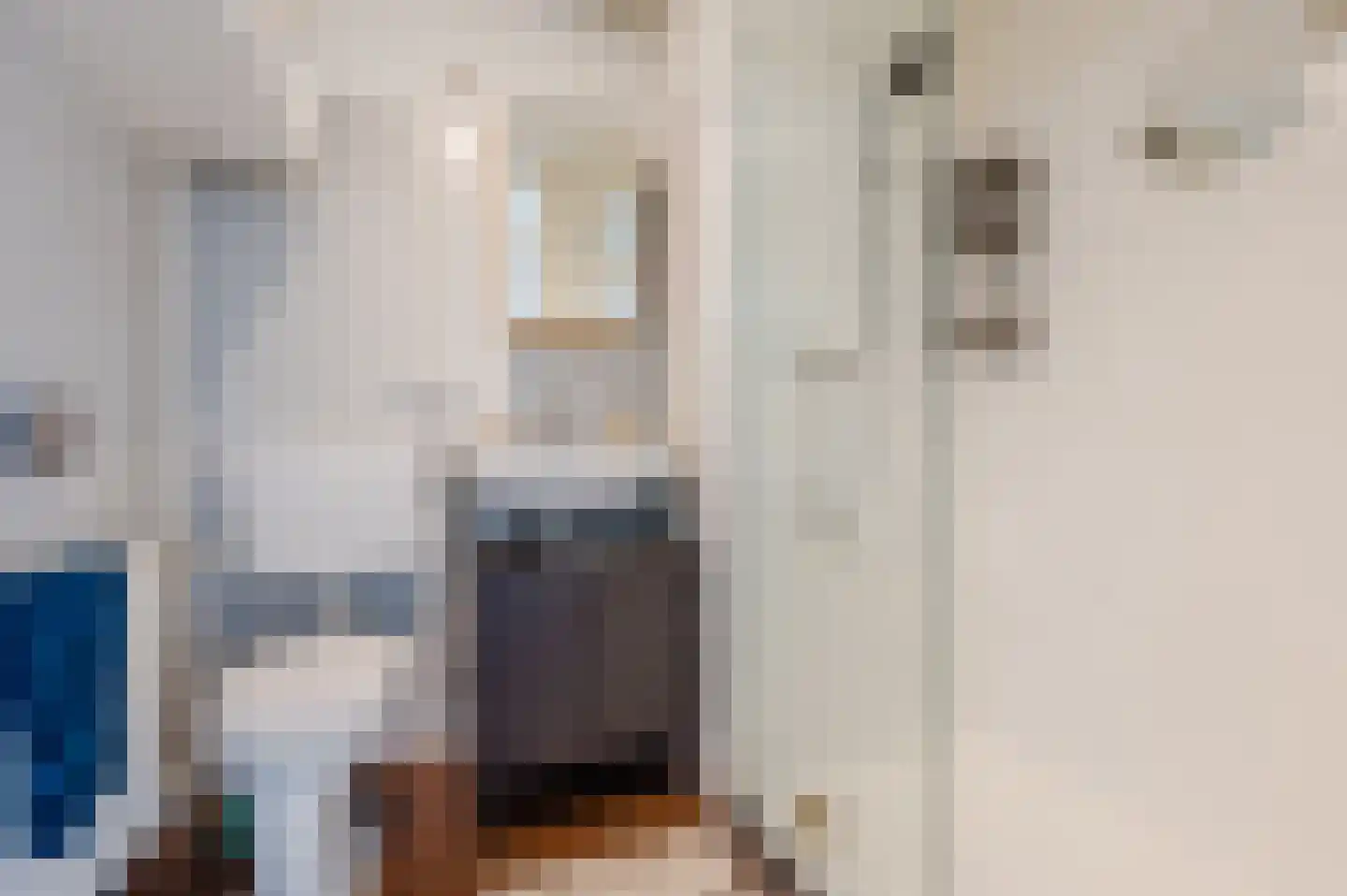 Hertog Hendrik van Brabantplein 59 Eindhoven thumbnail 18