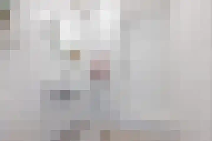 Hertog Hendrik van Brabantplein 76 Eindhoven thumbnail 19