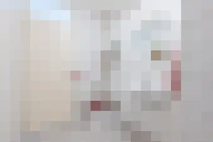 Hertog Hendrik van Brabantplein 76 Eindhoven thumbnail 20