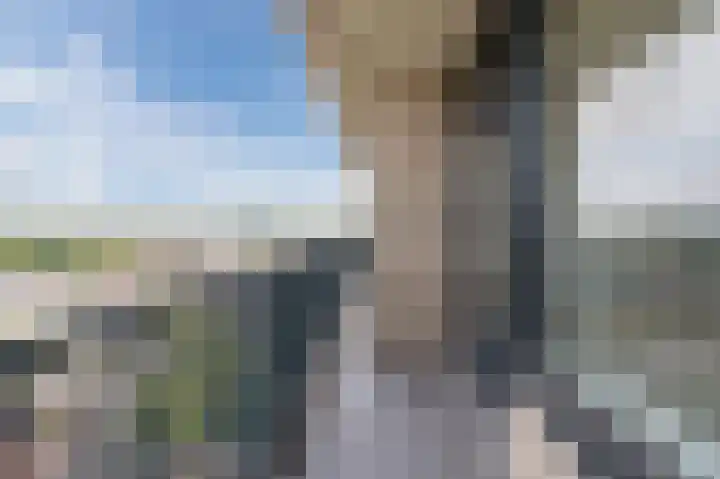 Hertog Hendrik van Brabantplein 76 Eindhoven thumbnail 26