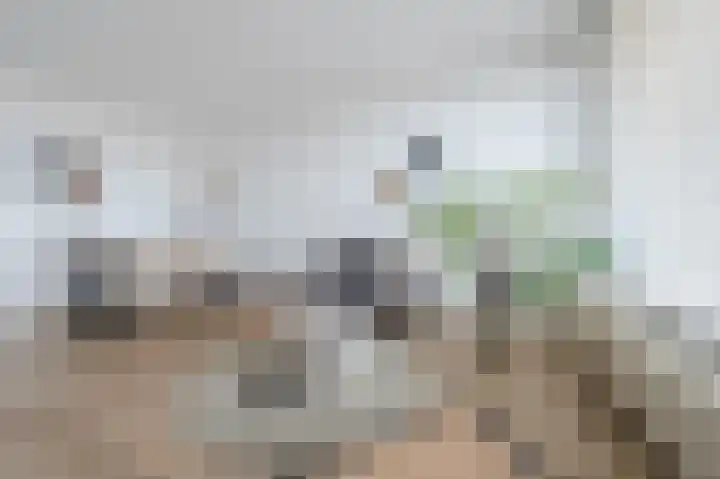 Hertog Hendrik van Brabantplein 76 Eindhoven thumbnail 9