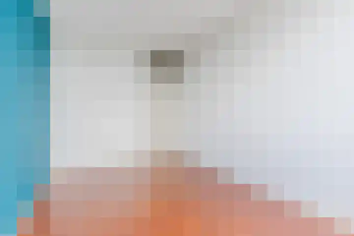 Hertog Hendrik van Brabantplein 84 Eindhoven thumbnail 15