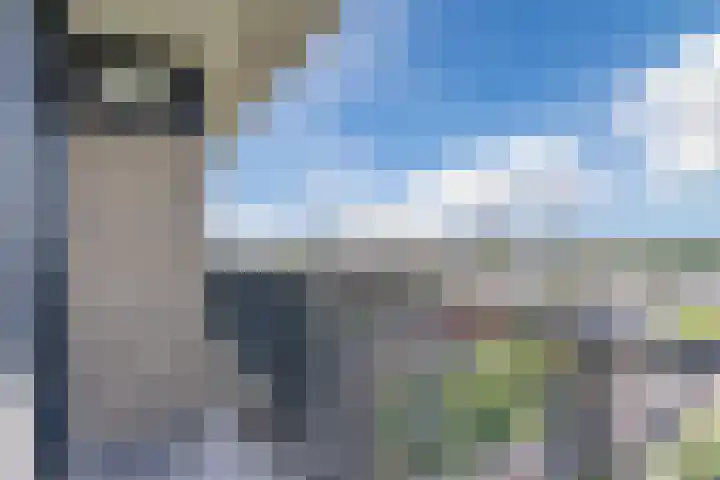 Hertog Hendrik van Brabantplein 84 Eindhoven thumbnail 22