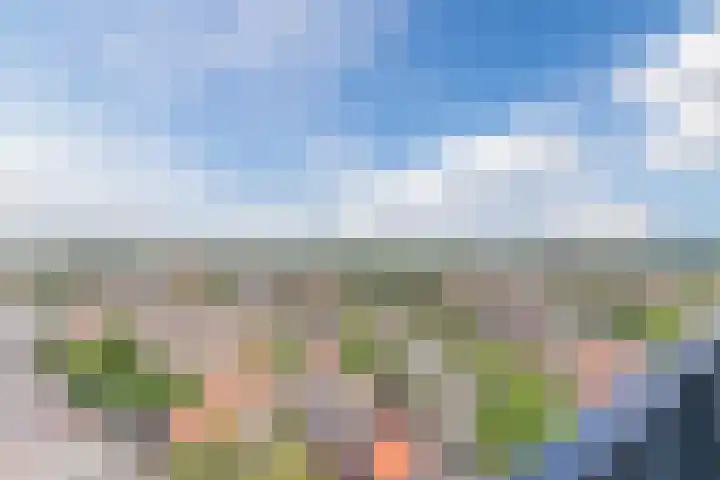 Hertog Hendrik van Brabantplein 84 Eindhoven thumbnail 24