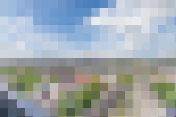 Hertog Hendrik van Brabantplein 84 Eindhoven thumbnail 25