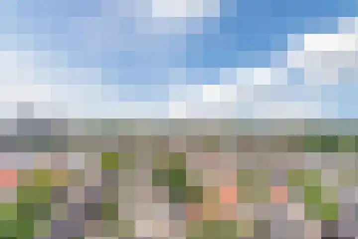 Hertog Hendrik van Brabantplein 84 Eindhoven thumbnail 26