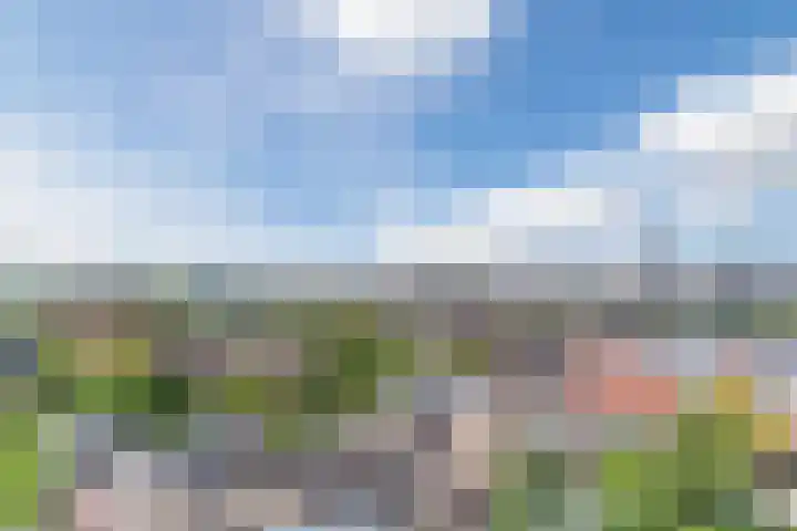 Hertog Hendrik van Brabantplein 84 Eindhoven thumbnail 27