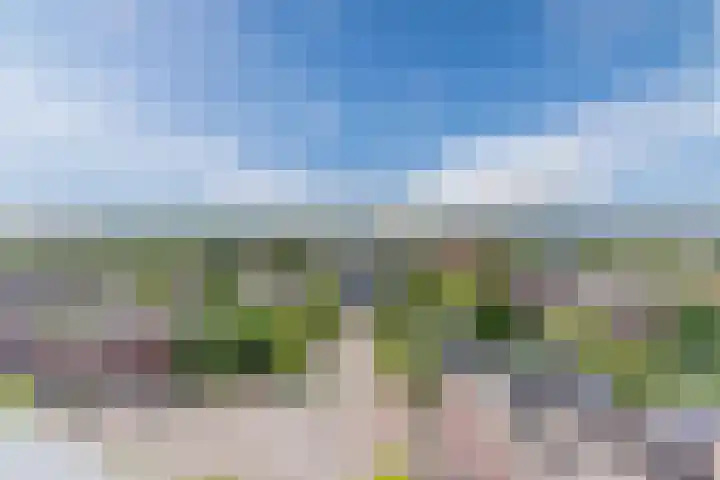 Hertog Hendrik van Brabantplein 84 Eindhoven thumbnail 28