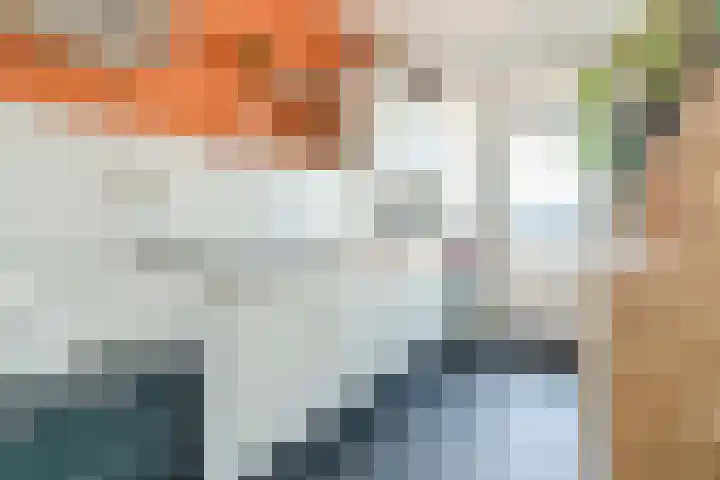 Hertog Hendrik van Brabantplein 87 Eindhoven thumbnail 15