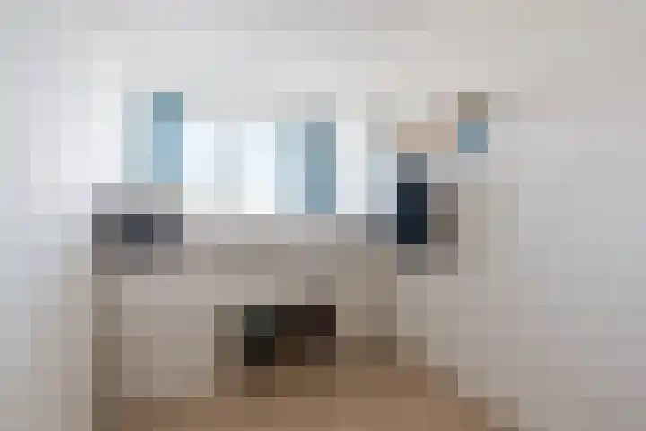 Hertog Hendrik van Brabantplein 87 Eindhoven thumbnail 23