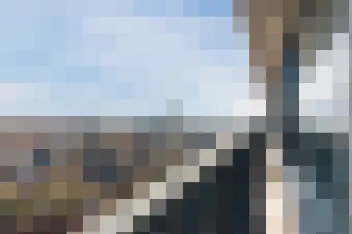 Hertog Hendrik van Brabantplein 87 Eindhoven thumbnail 30