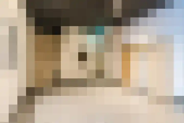 Hertog Hendrik van Brabantplein 87 Eindhoven thumbnail 7