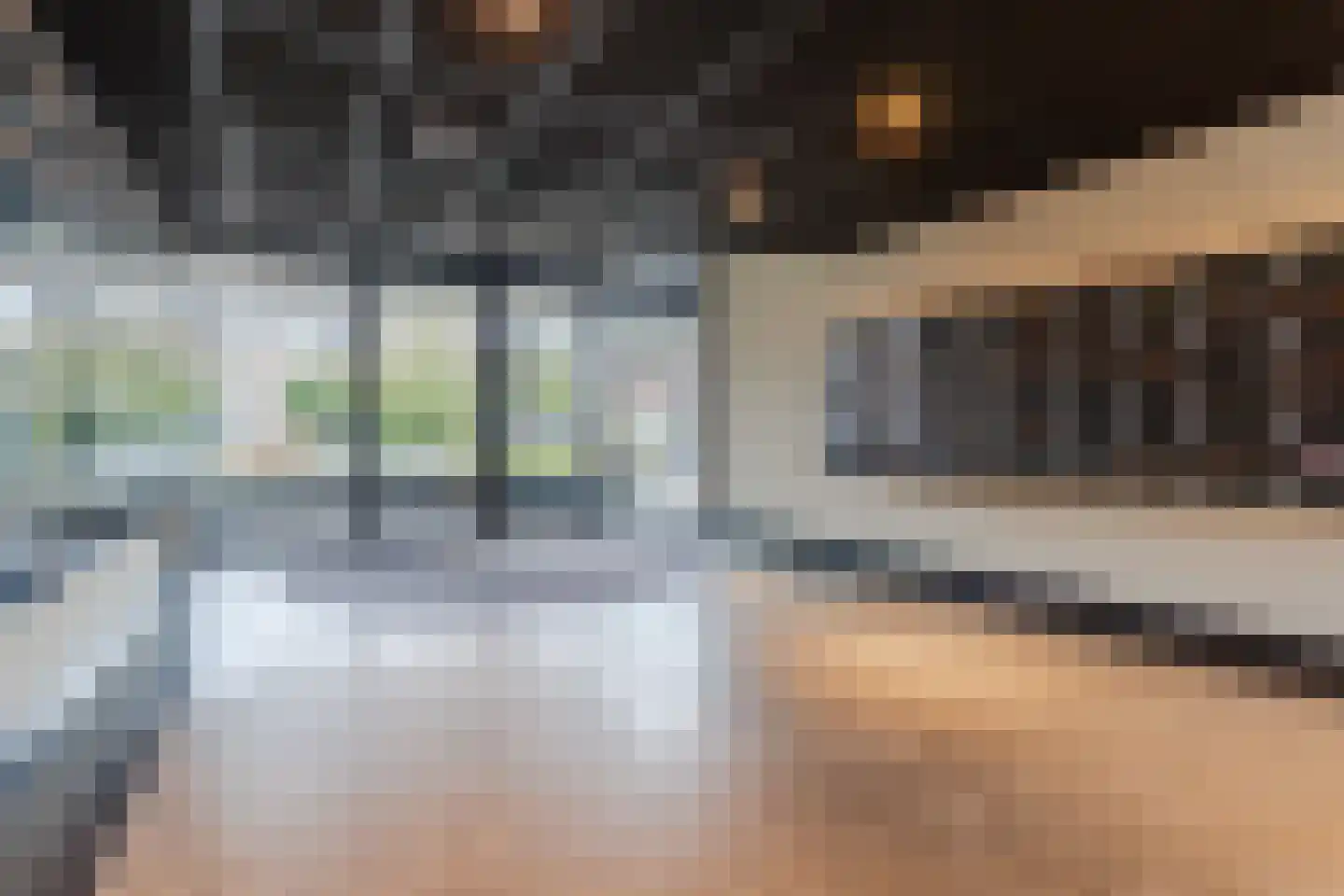 Hertog Hendrik van Brabantplein 88 Eindhoven thumbnail 5