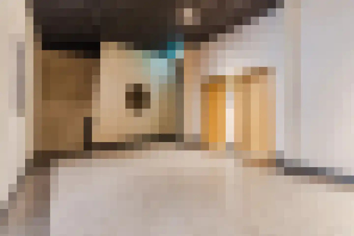 Hertog Hendrik van Brabantplein 88 Eindhoven thumbnail 6