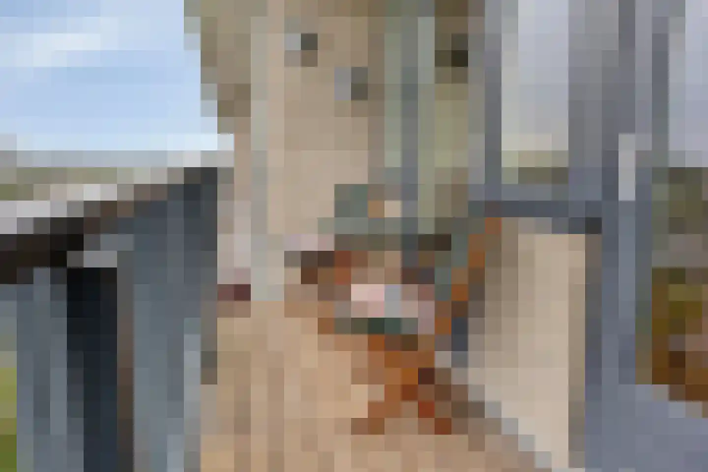 Hertog Hendrik van Brabantplein 94 Eindhoven thumbnail 31