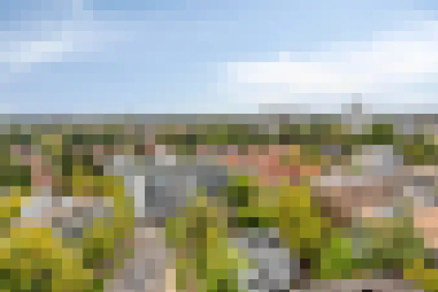 Hertog Hendrik van Brabantplein 94 Eindhoven thumbnail 35