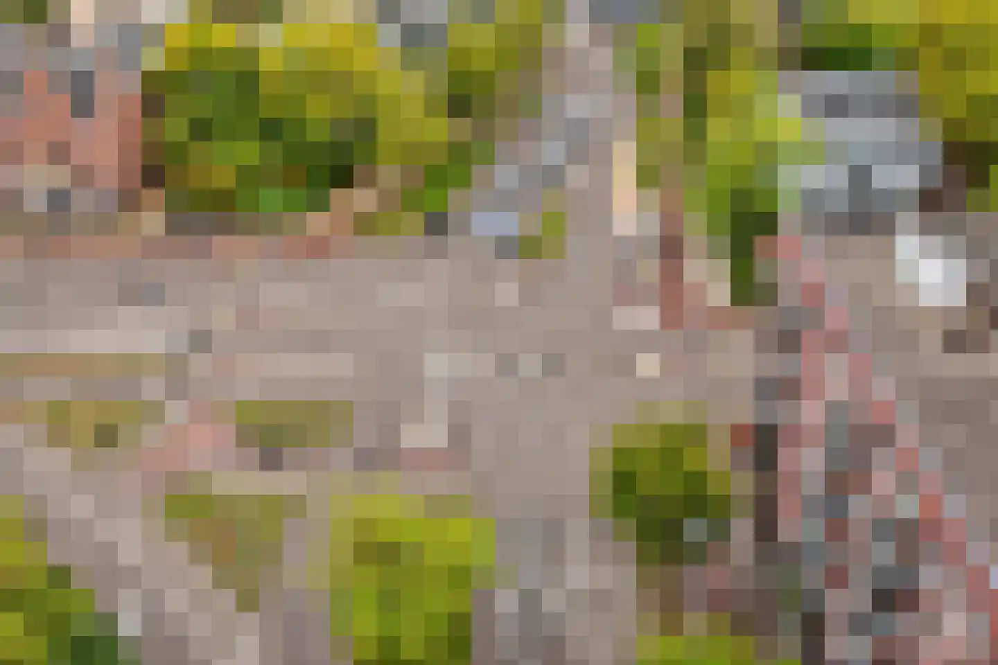 Hertog Hendrik van Brabantplein 94 Eindhoven thumbnail 36